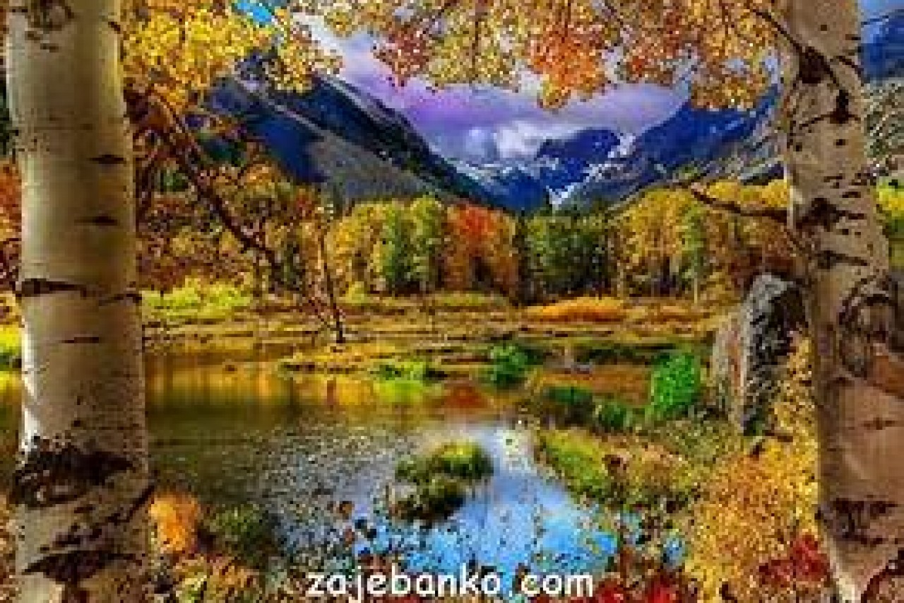 jajajajajajajjajajajjajajaj