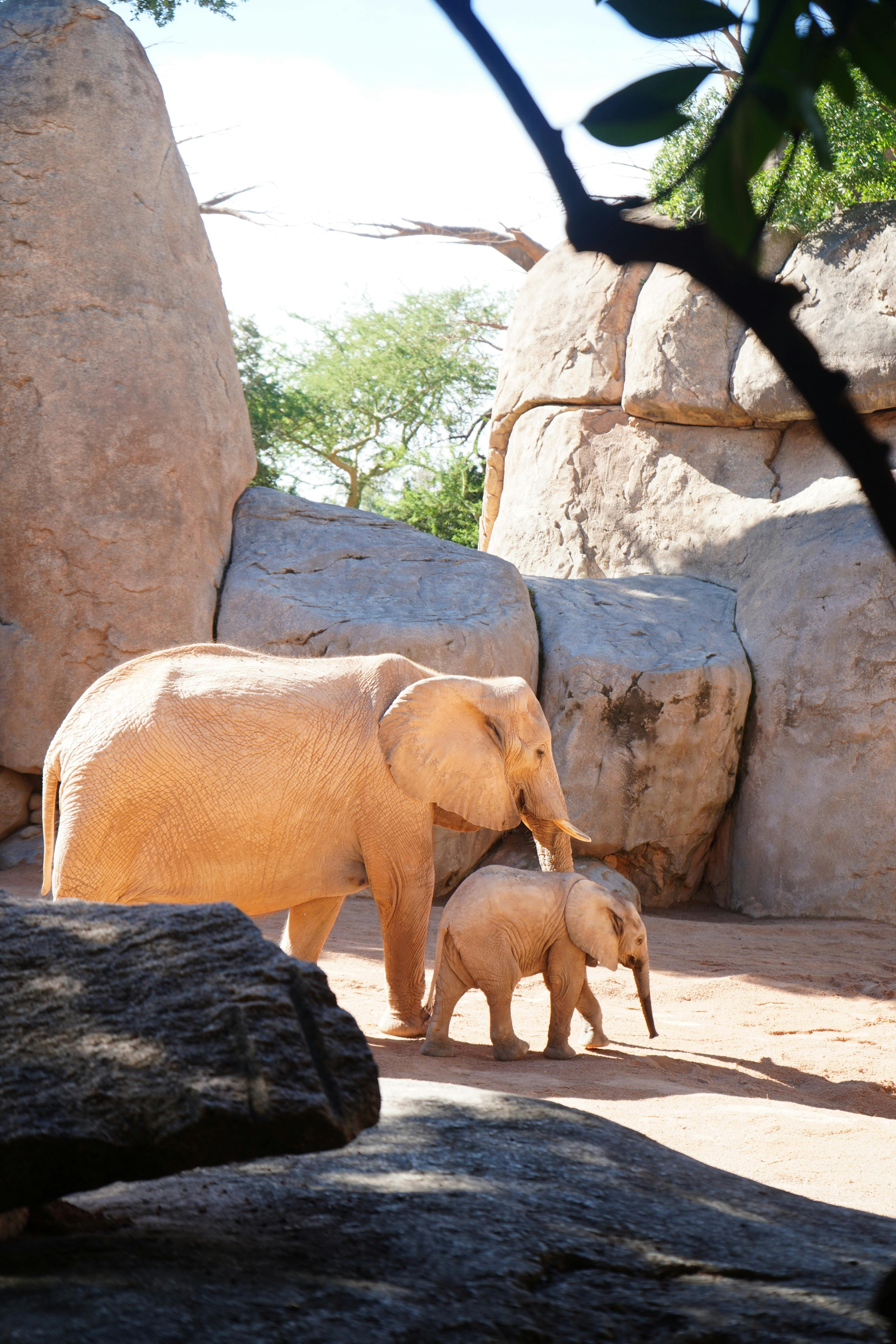 orem Ipsum is simply dummy text of the printing and typesetting industry.