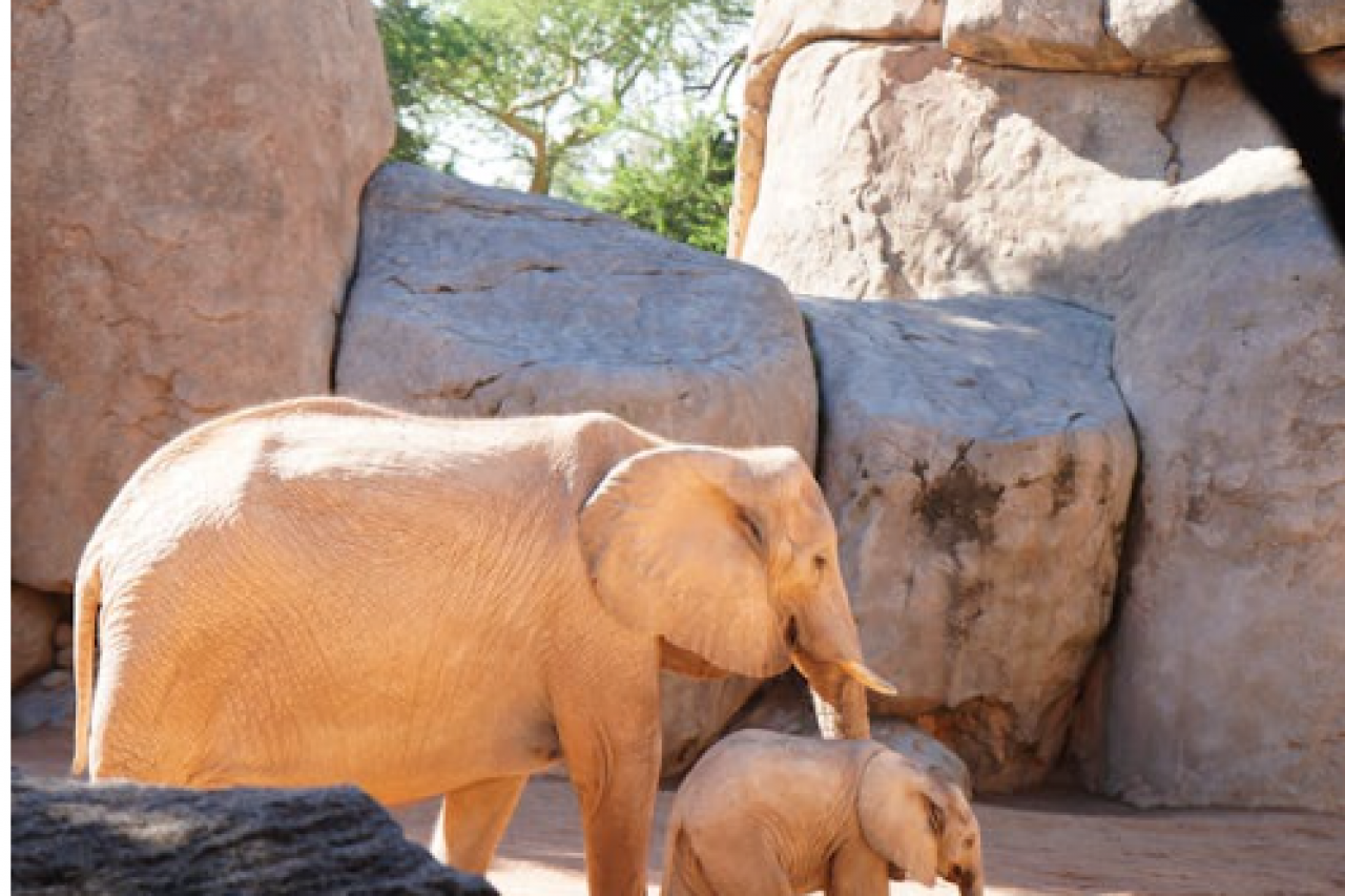 orem Ipsum is simply dummy text of the printing and typesetting industry.