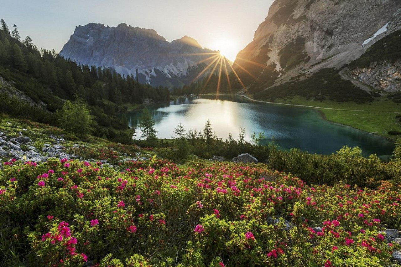 Test Final Exam Project