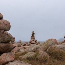 TitleTitleTitleTitleTitle