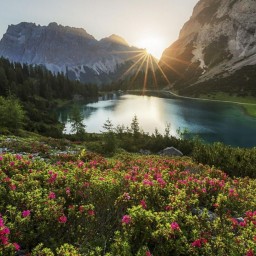 Test Final Exam Project